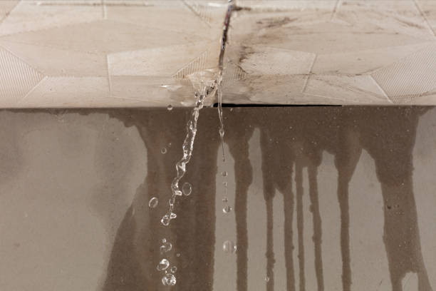 Professional Water Damage Restoration technician working in Cherokee, IA